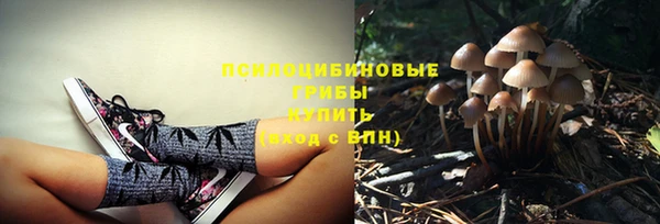 герыч Бородино