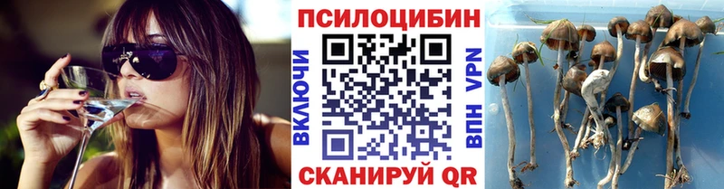 Галлюциногенные грибы Cubensis  mega зеркало  Данков 
